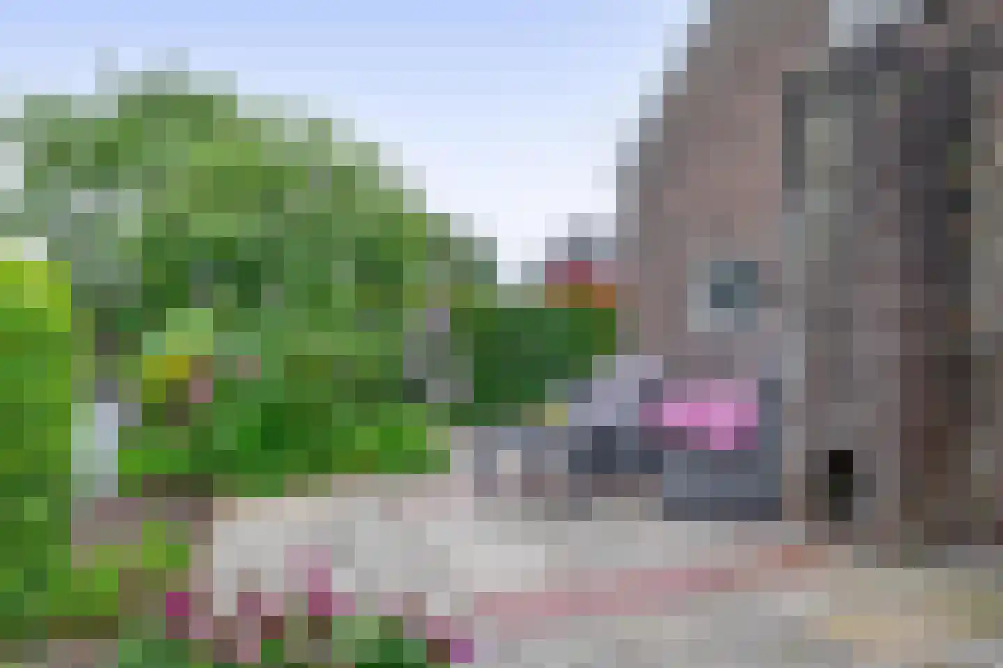 Schuwacht 68 Lekkerkerk thumbnail 4