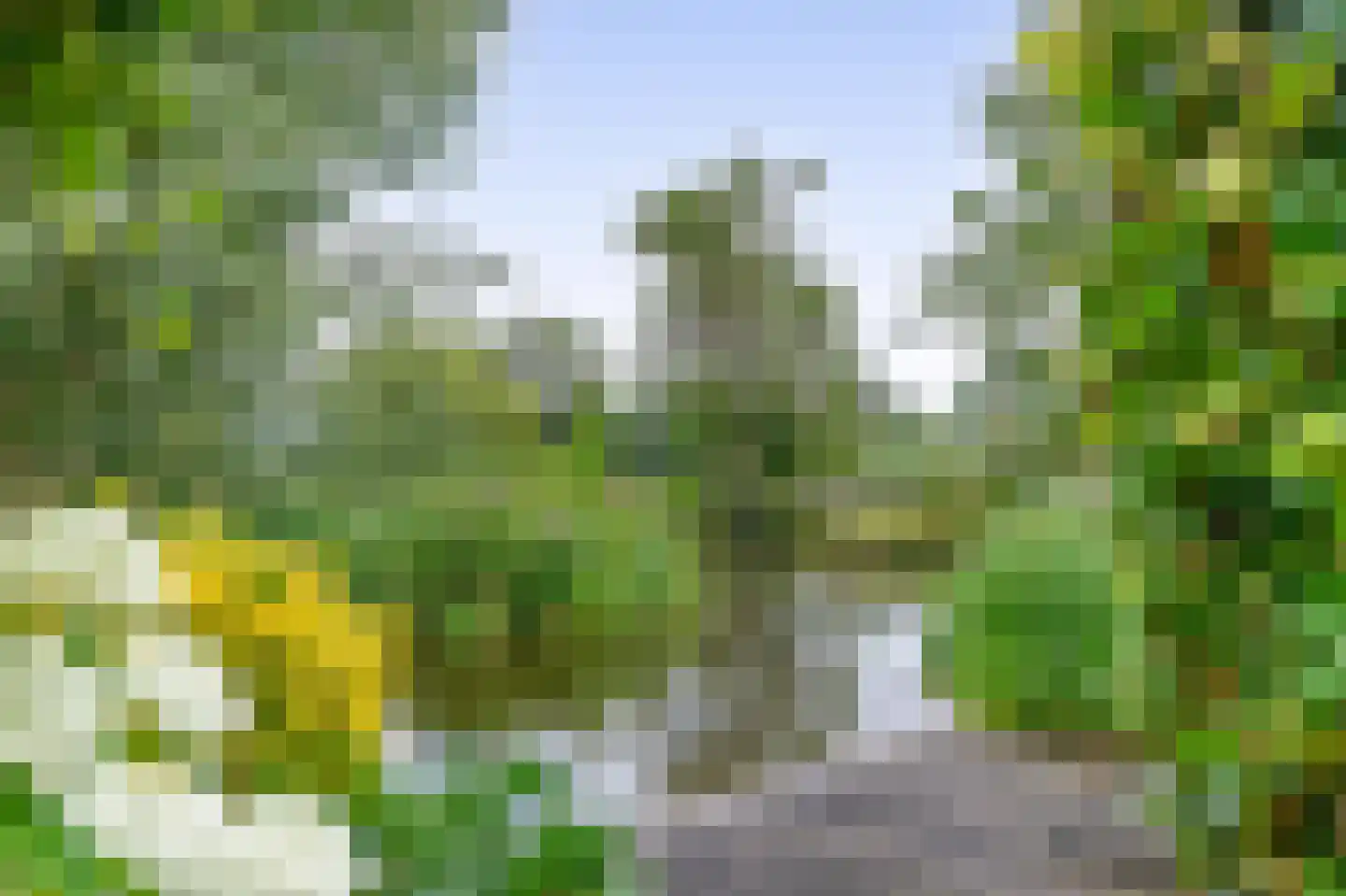 Schuwacht 68 Lekkerkerk thumbnail 5