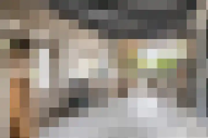 Schuwacht 70 Lekkerkerk thumbnail 10