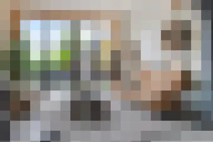 Schuwacht 70 Lekkerkerk thumbnail 12