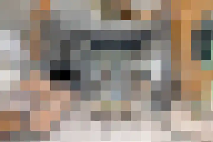 Schuwacht 70 Lekkerkerk thumbnail 15