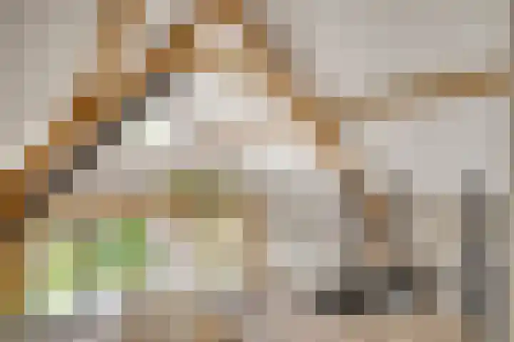 Schuwacht 70 Lekkerkerk thumbnail 17