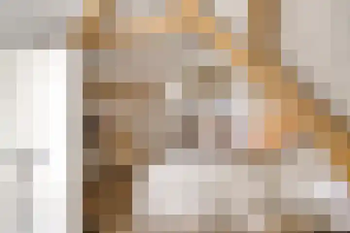 Schuwacht 70 Lekkerkerk thumbnail 18