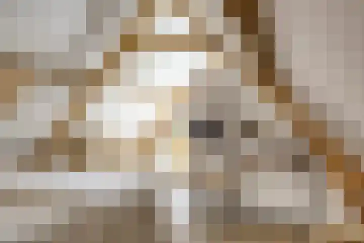 Schuwacht 70 Lekkerkerk thumbnail 19