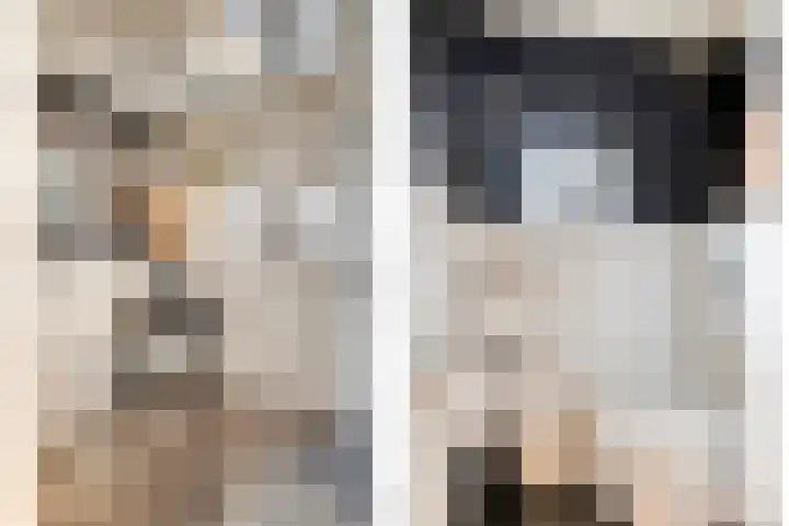 Schuwacht 70 Lekkerkerk thumbnail 20