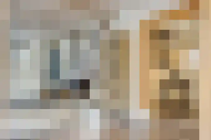 Schuwacht 70 Lekkerkerk thumbnail 21