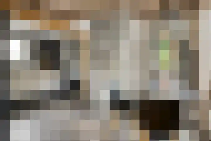 Schuwacht 70 Lekkerkerk thumbnail 22