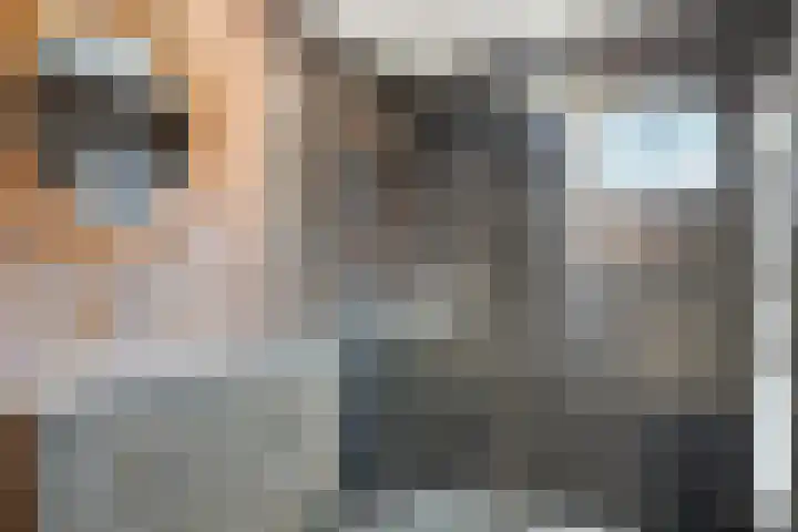 Schuwacht 70 Lekkerkerk thumbnail 25