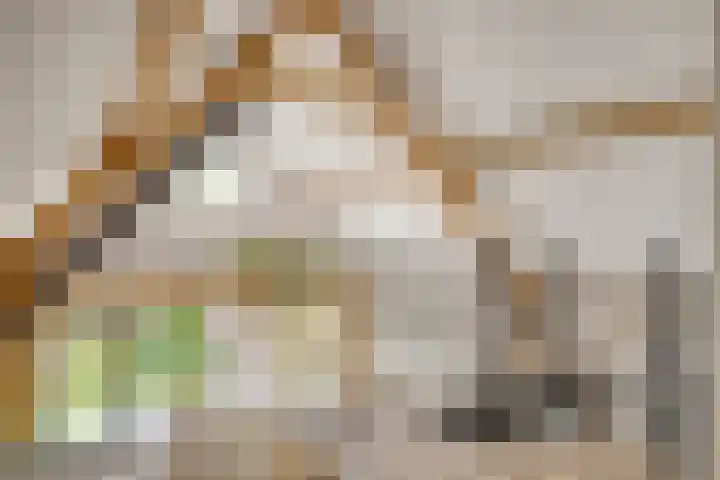 Schuwacht 70 Lekkerkerk foto 3