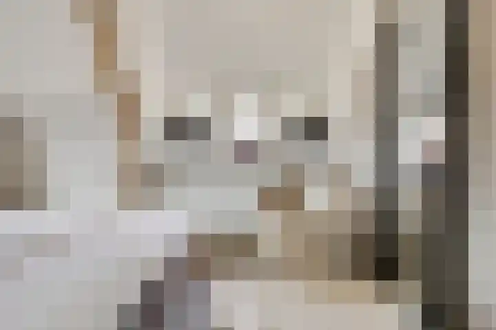 Schuwacht 70 Lekkerkerk thumbnail 32