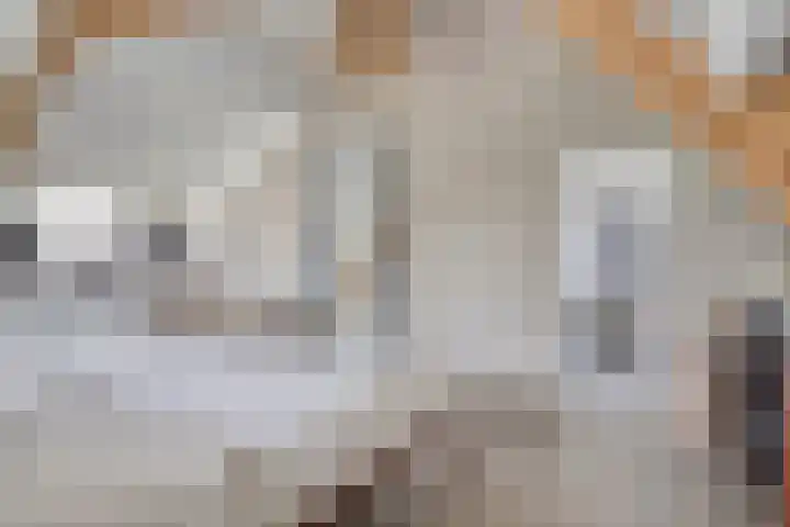 Schuwacht 70 Lekkerkerk thumbnail 33