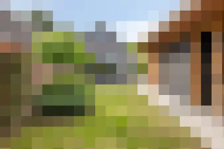 Schuwacht 70 Lekkerkerk thumbnail 35