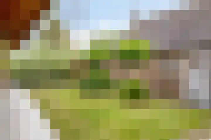 Schuwacht 70 Lekkerkerk thumbnail 38