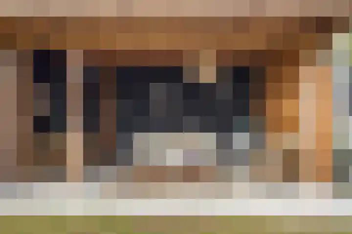 Schuwacht 70 Lekkerkerk thumbnail 40
