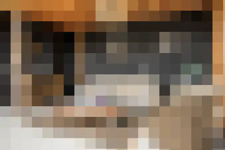 Schuwacht 70 Lekkerkerk thumbnail 41
