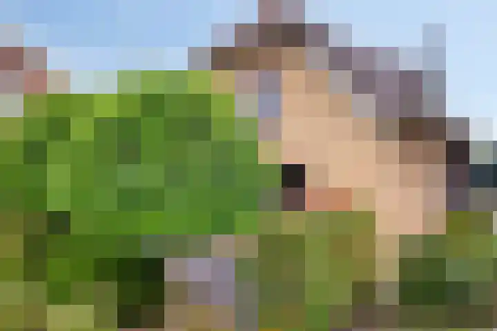 Schuwacht 70 Lekkerkerk thumbnail 5