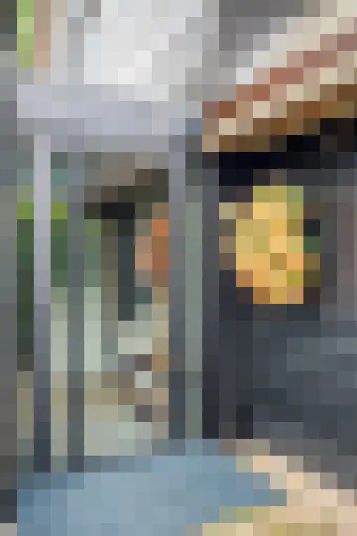Schuwacht 70 Lekkerkerk thumbnail 7