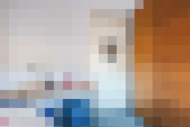 Schuylenhof 77 Apeldoorn thumbnail 29