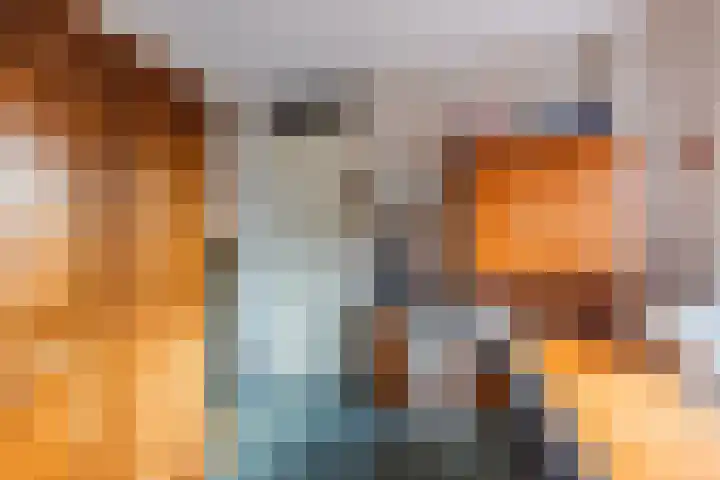 Schuylenhof 77 Apeldoorn thumbnail 31