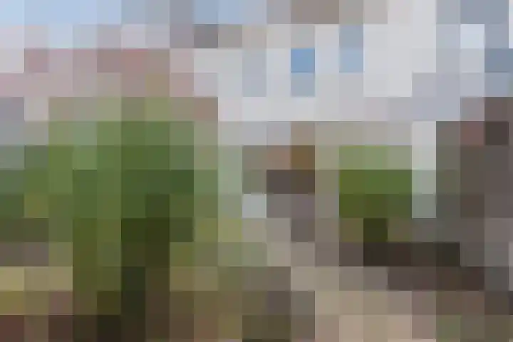 Schuylenhof 77 Apeldoorn thumbnail 46