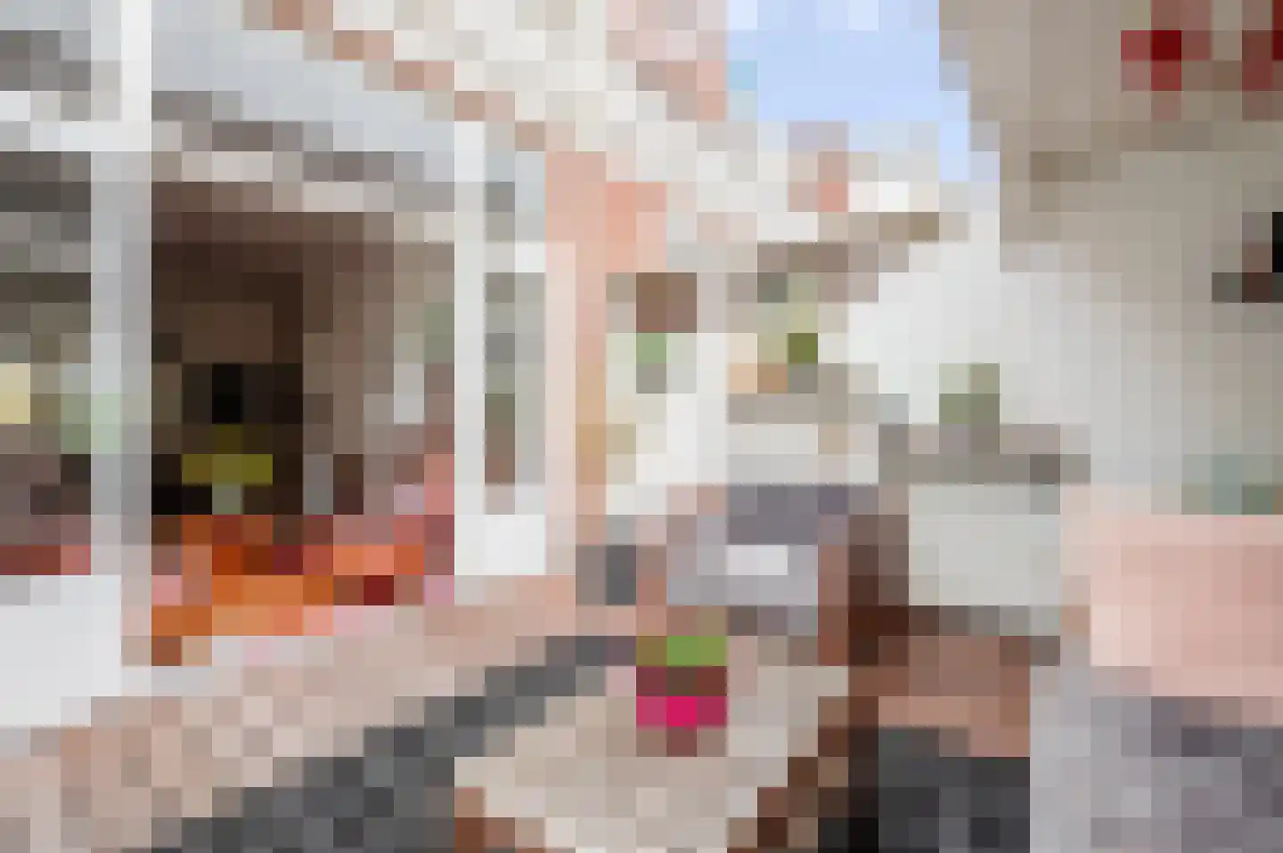 Schuytstraat 18 Den Haag thumbnail 41