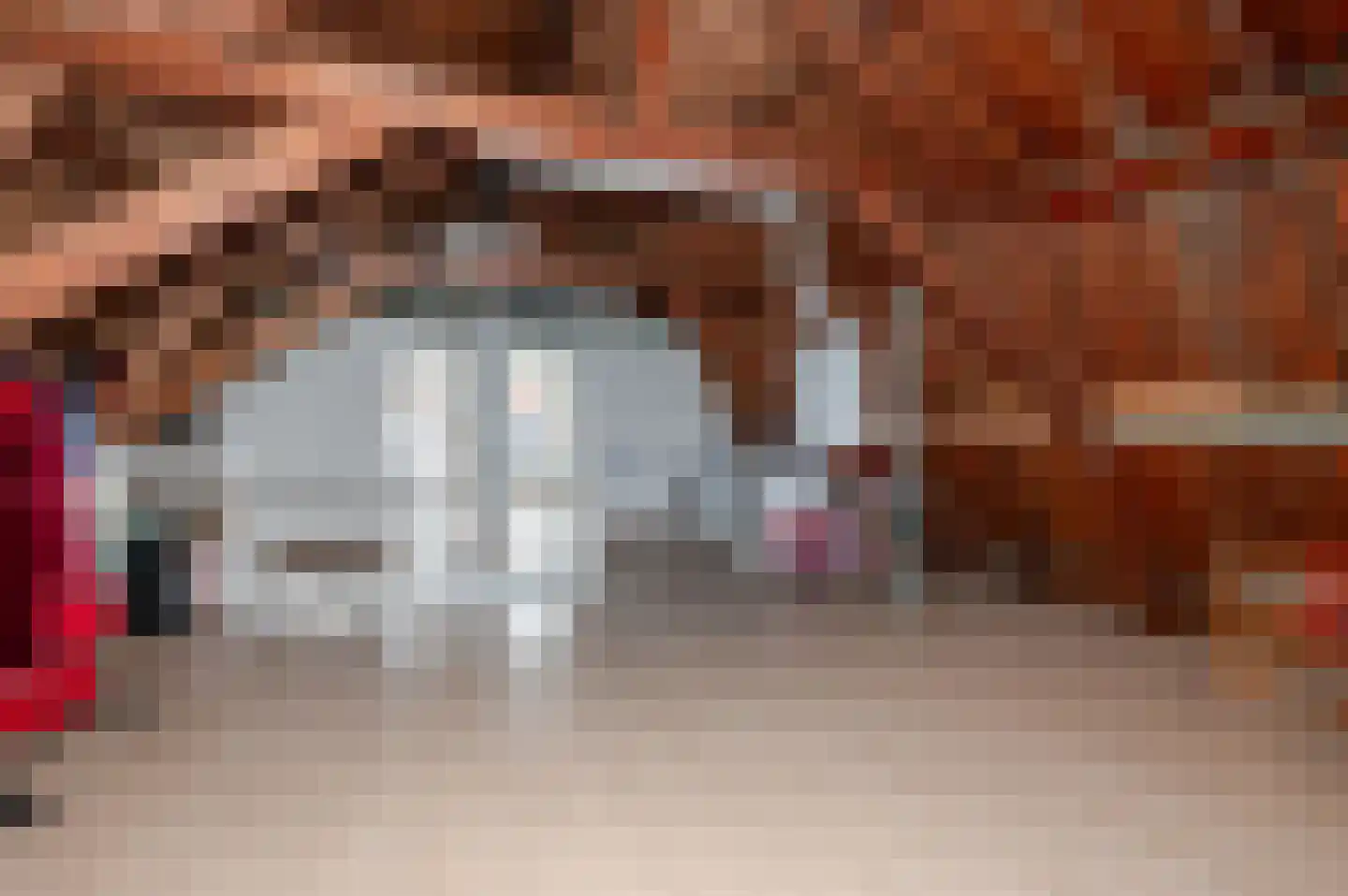 Schuytstraat 18 Den Haag thumbnail 69