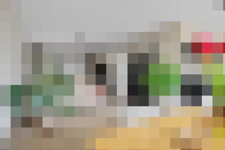 Schwartzenberghlaan 26 Drachten thumbnail 22