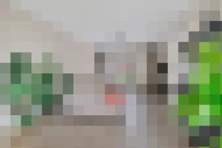 Schwartzenberghlaan 26 Drachten thumbnail 23