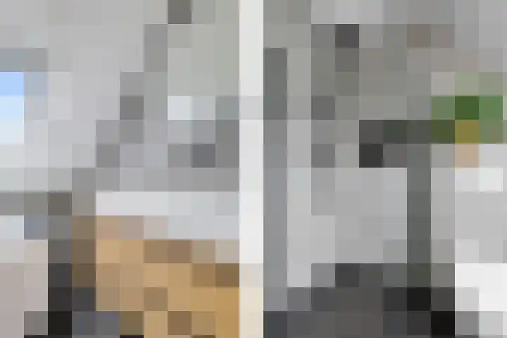 Schwartzenberghlaan 26 Drachten thumbnail 31