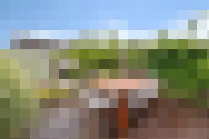 Schwartzenberghlaan 26 Drachten thumbnail 33