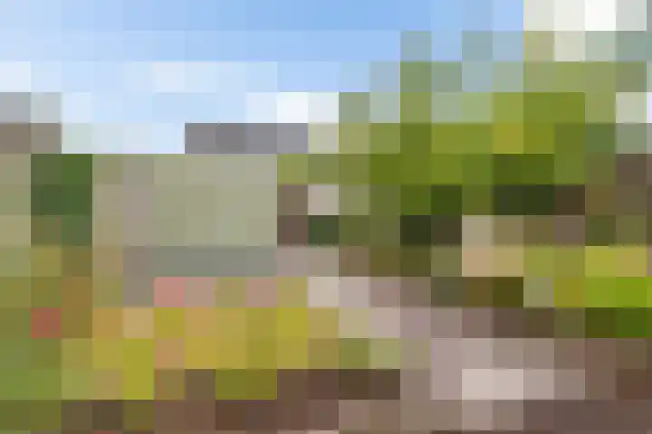 Schwartzenberghlaan 26 Drachten thumbnail 34