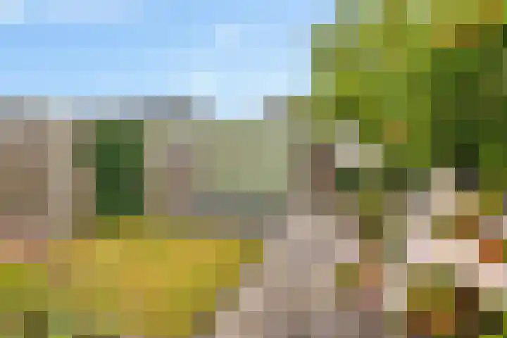 Schwartzenberghlaan 26 Drachten thumbnail 35