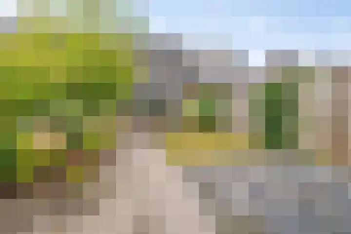 Schwartzenberghlaan 26 Drachten thumbnail 36