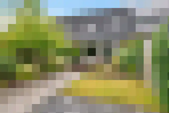 Schwartzenberghlaan 26 Drachten thumbnail 39