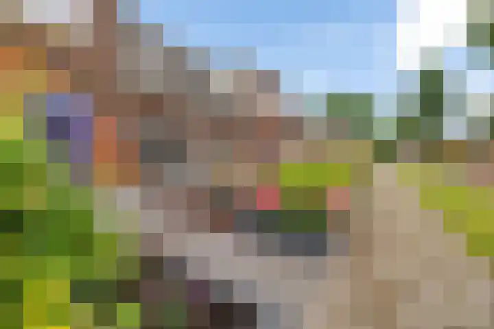 Schwartzenberghlaan 26 Drachten thumbnail 5