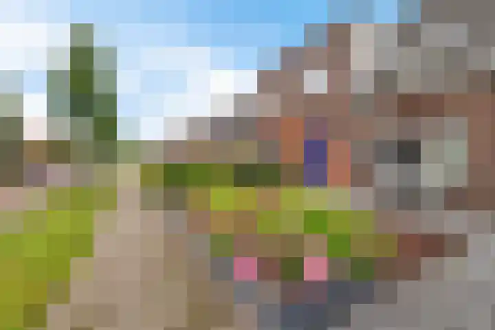 Schwartzenberghlaan 26 Drachten thumbnail 8