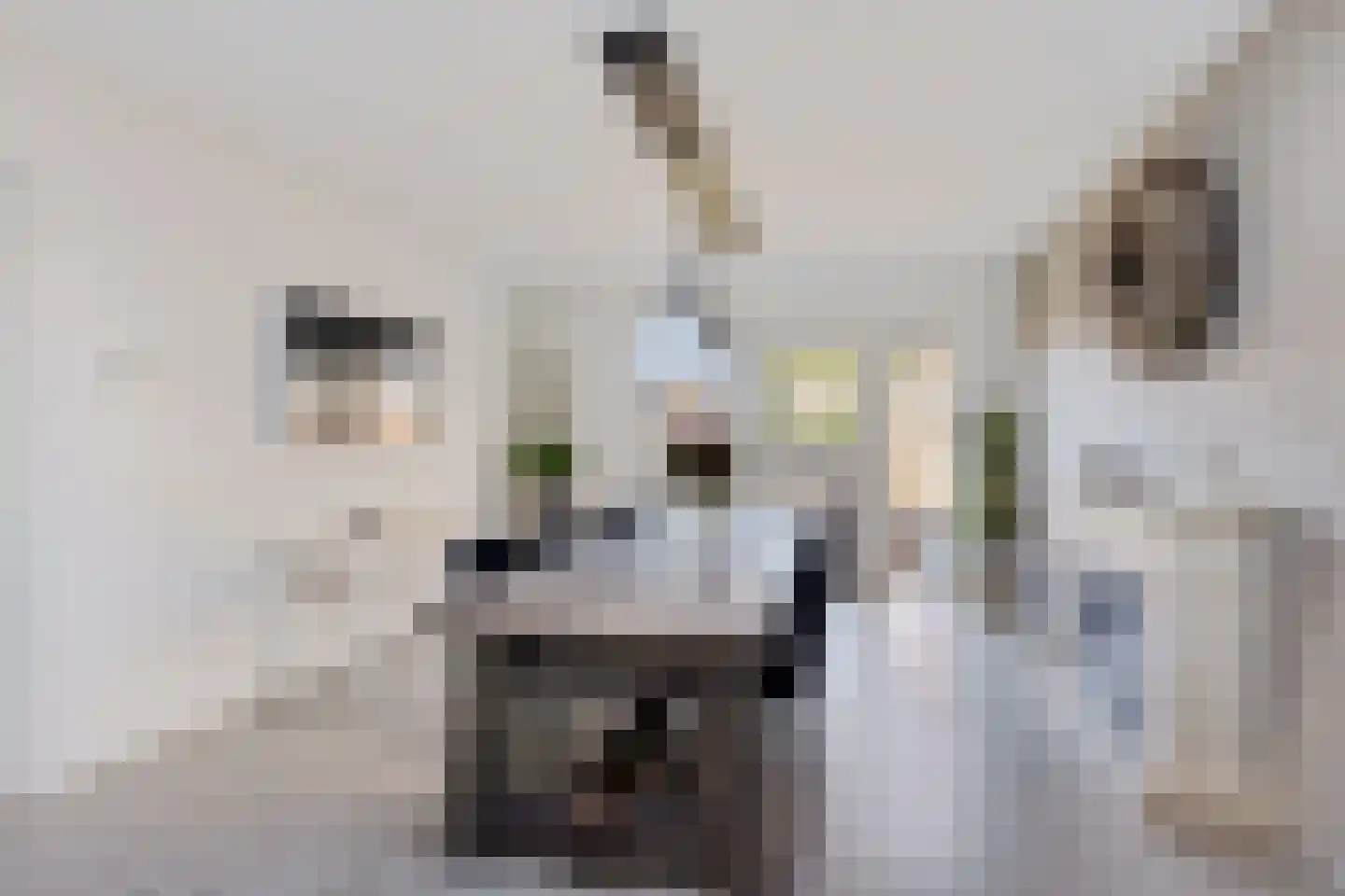 Schwartzenberghlaan 35 Drachten thumbnail 15