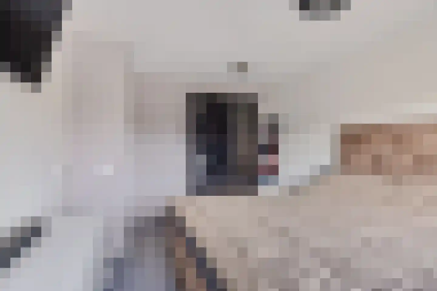 Schwartzenberghlaan 35 Drachten thumbnail 31