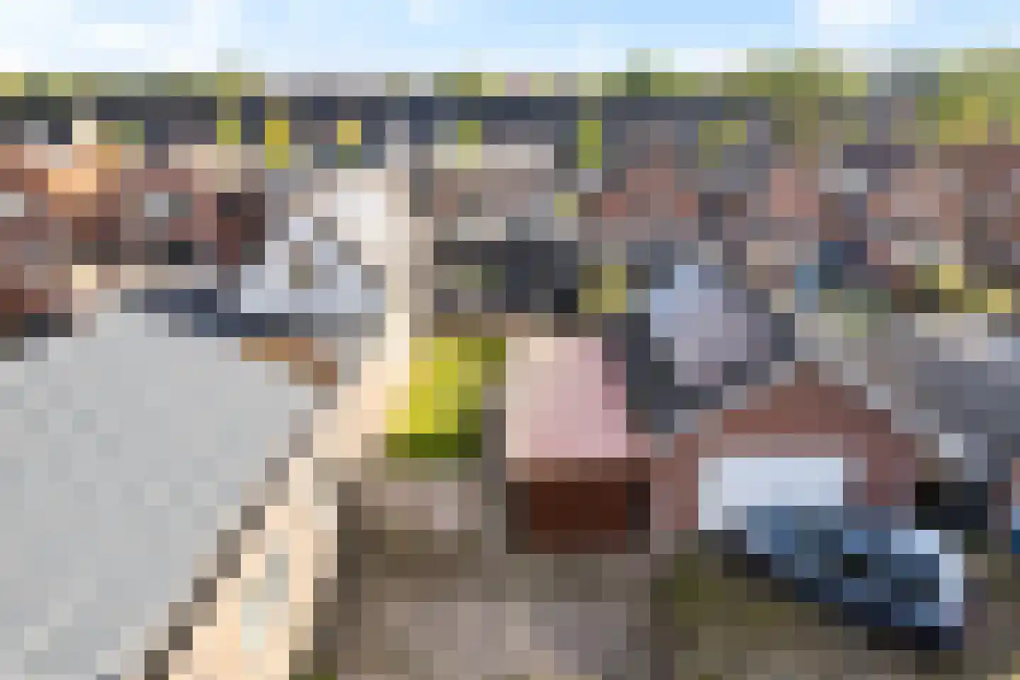 Schwartzenberghlaan 35 Drachten thumbnail 38