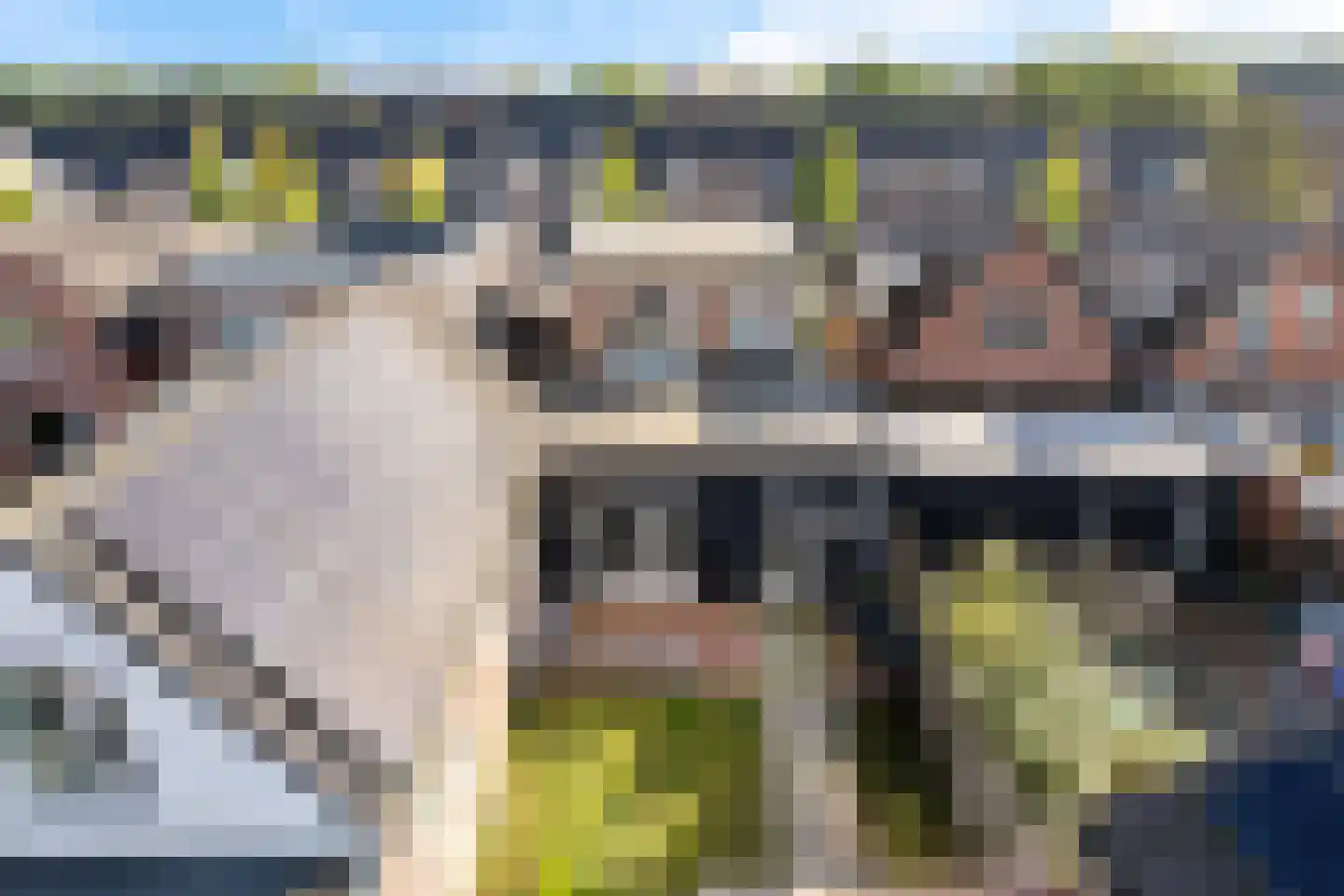 Schwartzenberghlaan 35 Drachten thumbnail 39