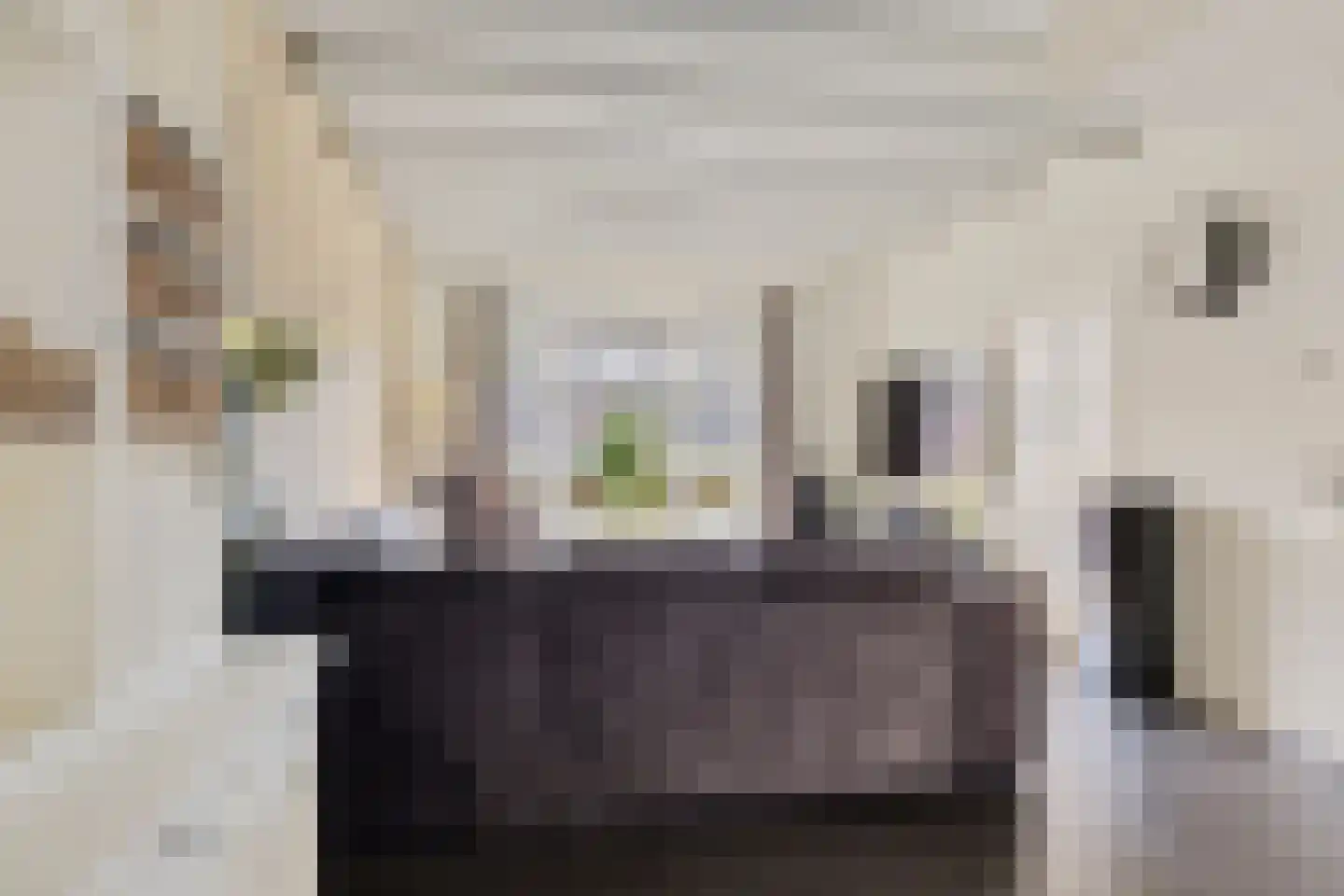 Schwartzenberghlaan 35 Drachten thumbnail 7