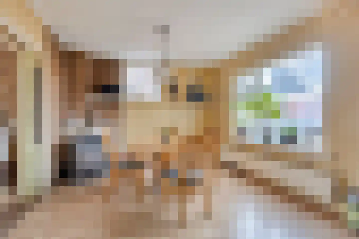 Schwartzenberghlaan 39 Drachten thumbnail 13