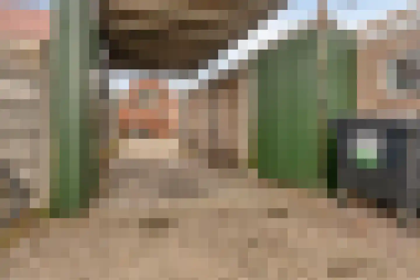 Schwartzenberghlaan 39 Drachten thumbnail 32