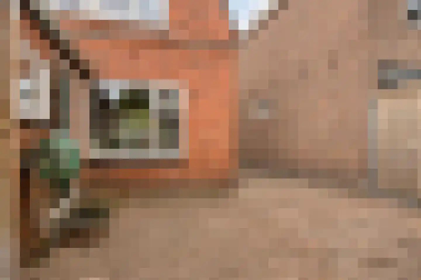 Schwartzenberghlaan 39 Drachten thumbnail 34