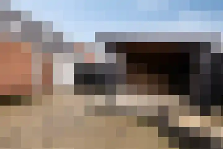 Schwartzenberghlaan 71 Drachten thumbnail 28