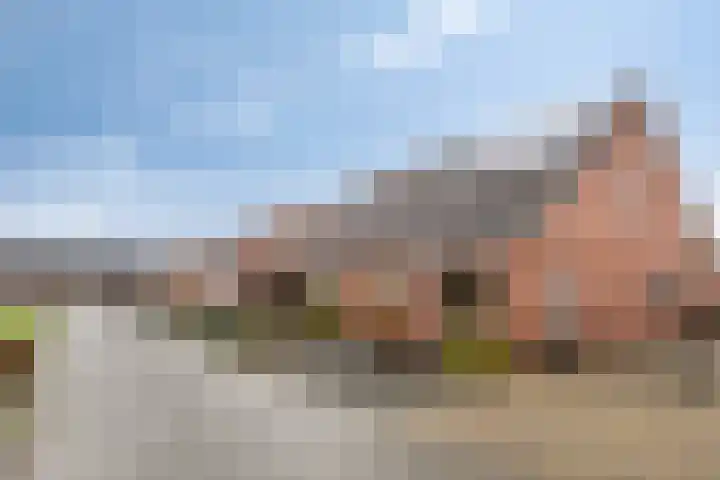 Schwartzenberghlaan 71 Drachten thumbnail 5