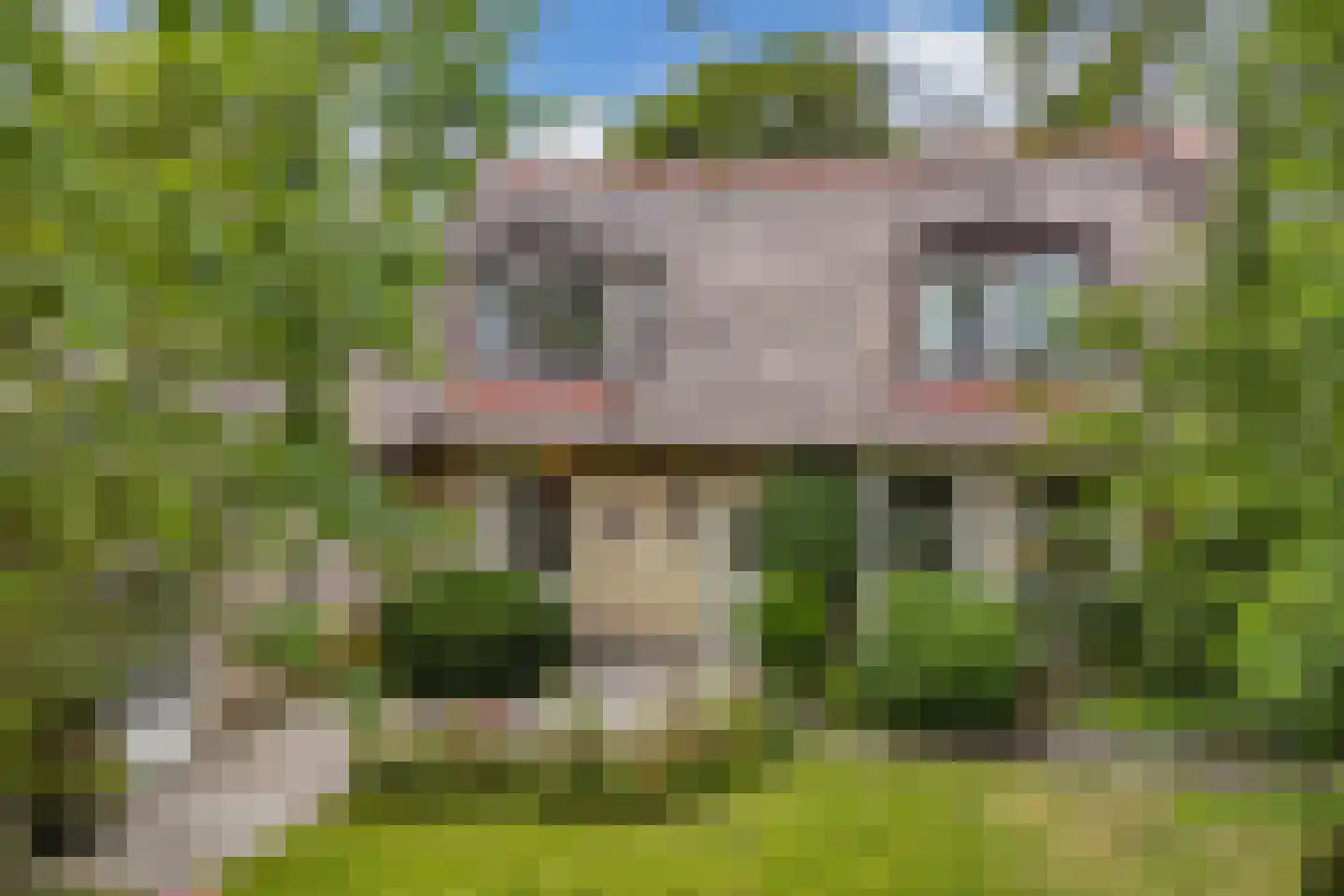 Schwartzenbergweg 8 Hichtum thumbnail 48