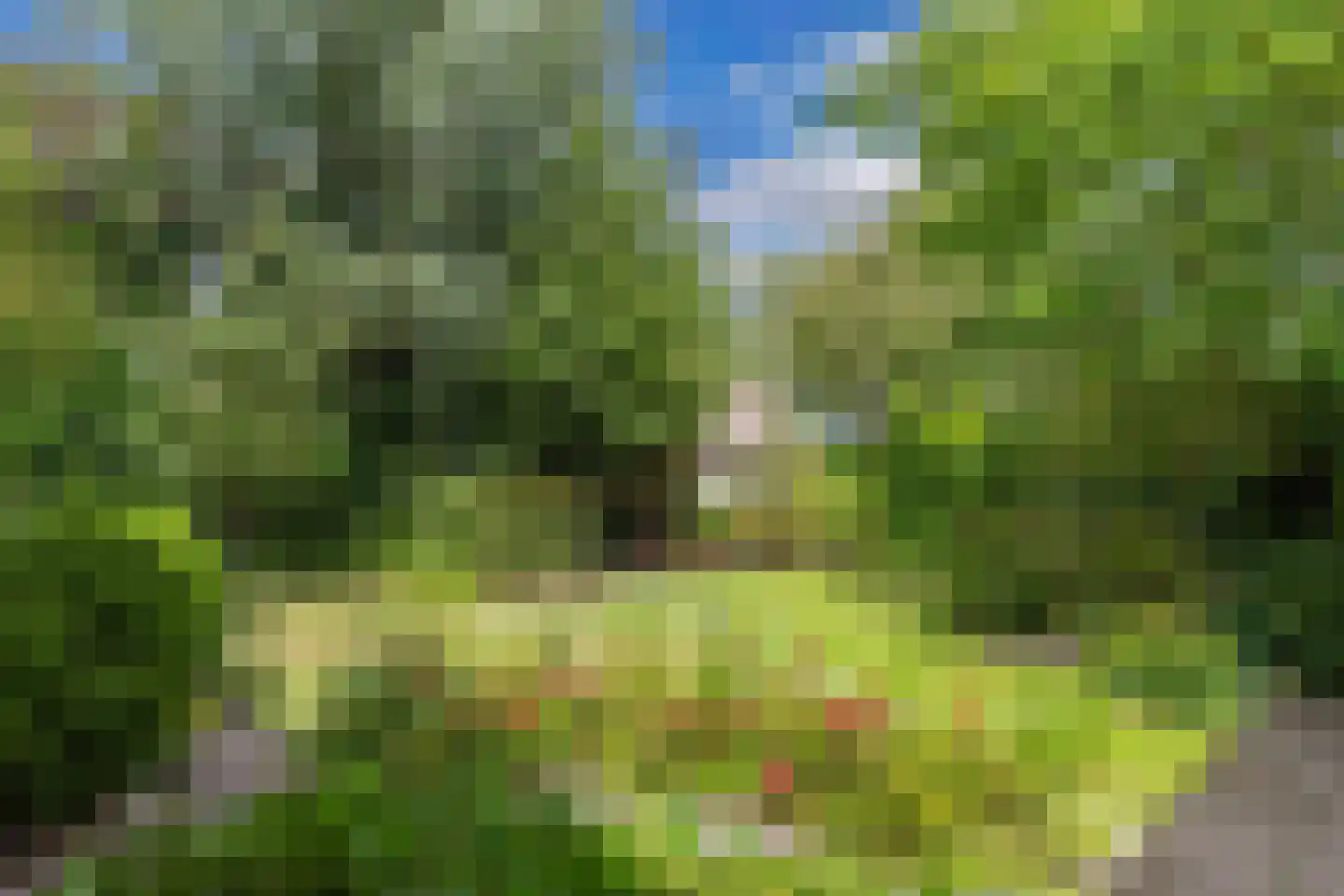 Schwartzenbergweg 8 Hichtum thumbnail 50
