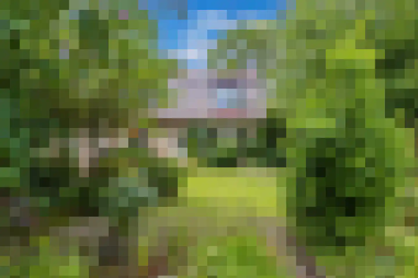 Schwartzenbergweg 8 Hichtum thumbnail 51