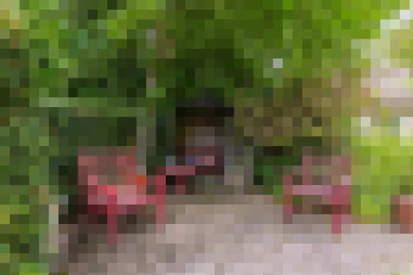 Schwartzenbergweg 8 Hichtum thumbnail 52